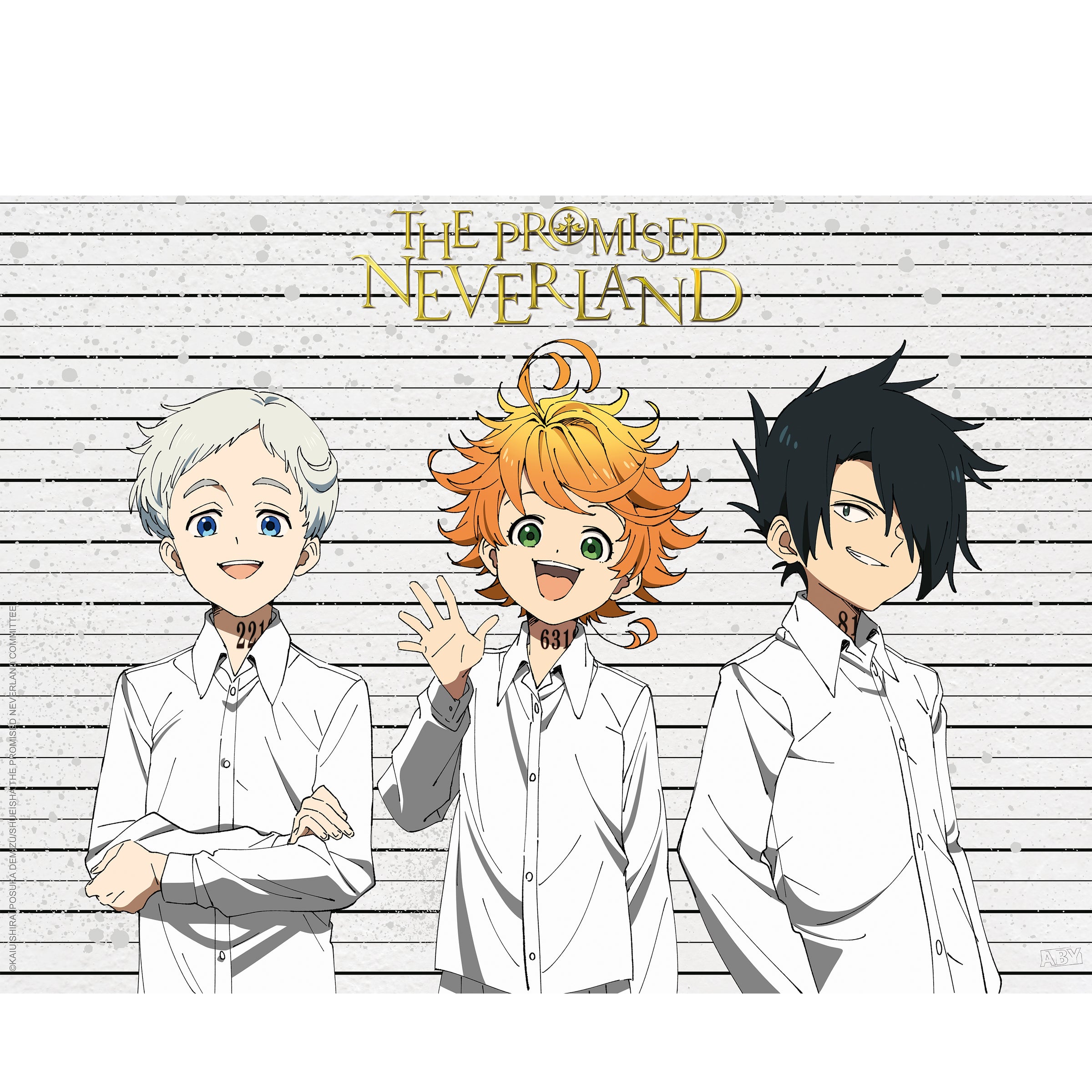 The Promised Neverland - Emma, Ray, and Norman Chibi Poster (15 x 20.5 –  ABYstyle USA